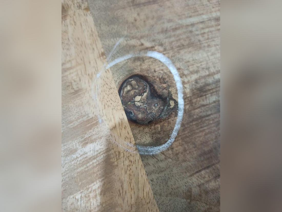 Dead knot with cracks through it in a solid wood top, circled in chalk by the inspector.